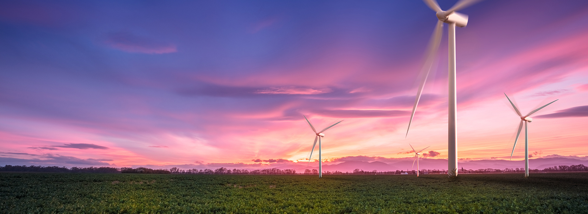 主营业务 主营业务